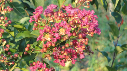 Masserie del Nonno | I Colori della Natura 1