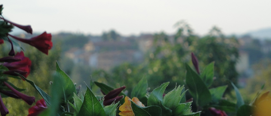 Masserie del Nonno | I Colori della Natura 3