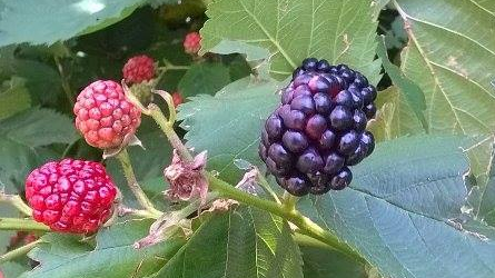 Masserie del Nonno | I Colori della Natura 4